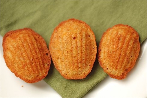 Honey Spiced madeleines