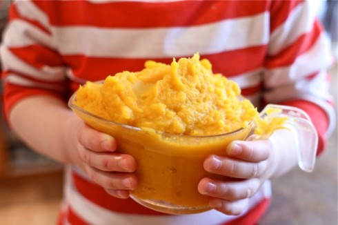 Butternut Squash Puree