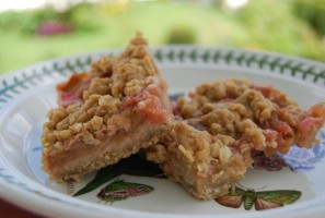 Rhubarb Squares