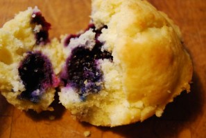 Blueberry Muffins