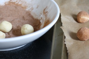 Spiced Snickerdoodles