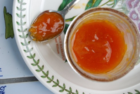 Naptime Chef Apricot Jam