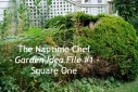 The Naptime Chef Garden Idea File