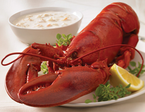 Lobster and Chowder