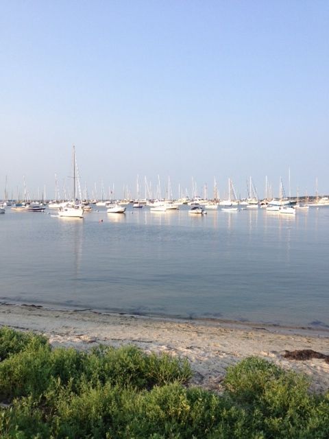 Vineyard Haven Harbor