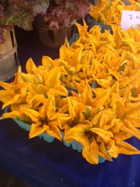 Zucchini blossoms