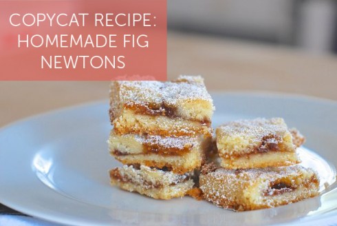 Homemade Fig Newton Bars