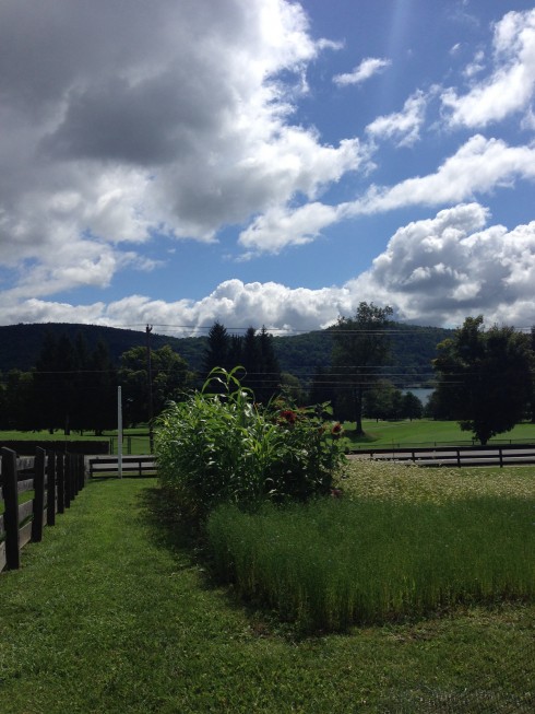 Exploring: Cooperstown, New York | The Naptime Chef