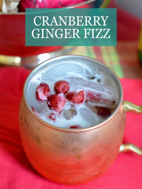 Cranberry Ginger Fizz