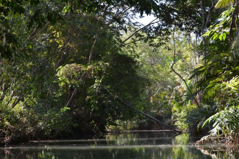 Naptime Travel: Costa Rica