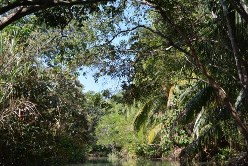 Naptime Travel: Costa Rica