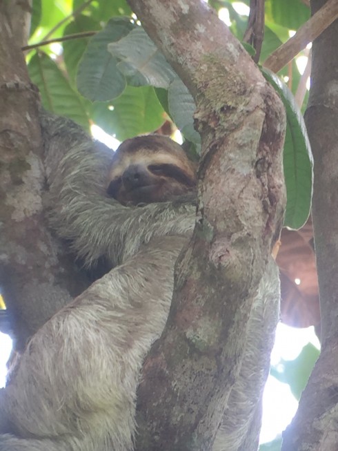 Naptime Travel: Costa Rica