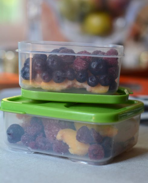 Packing Fruit in Lunchboxes | The Naptime Chef