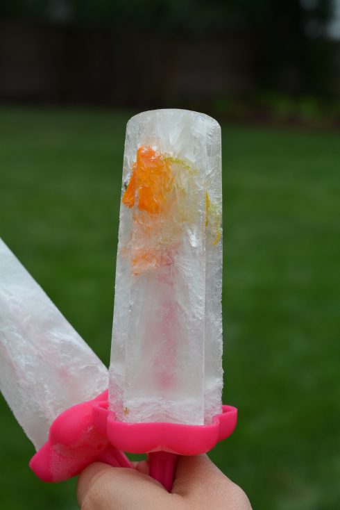 Prosecco Popsicles