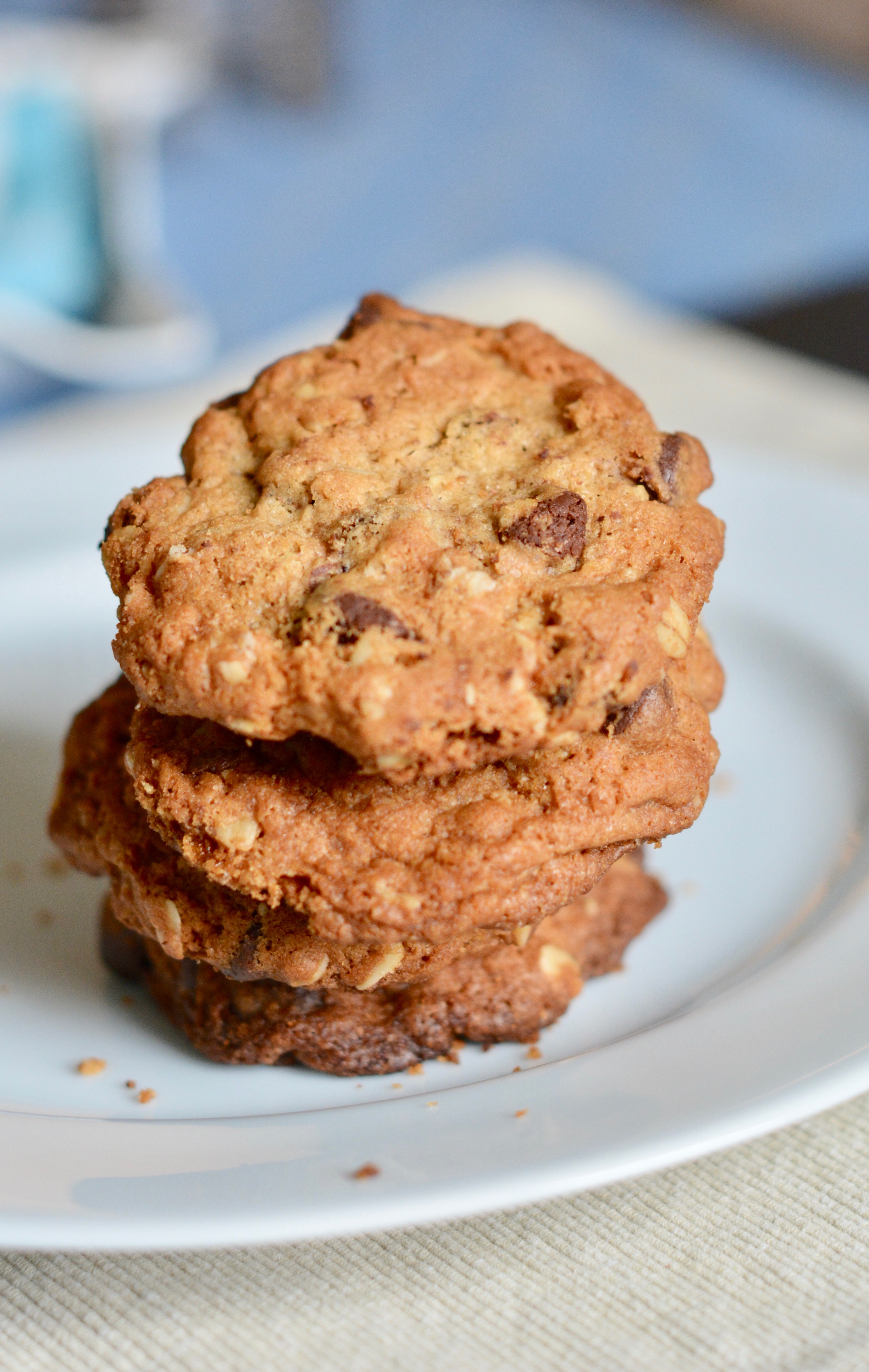 Cinnamon Oatmeal Chocolate Chip Cookies | The Naptime Chef