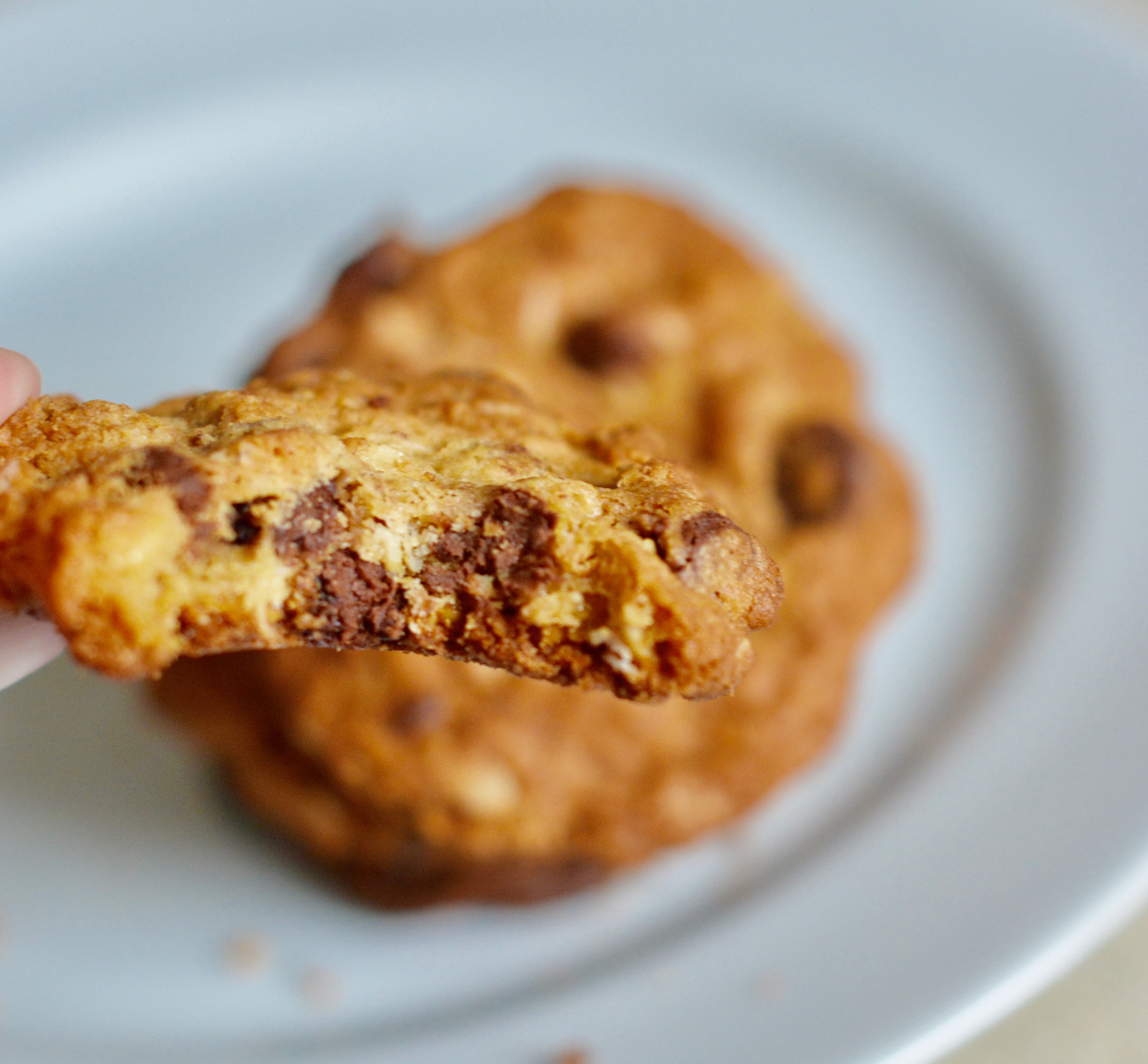 Cinnamon Oatmeal Chocolate Chip Cookies | The Naptime Chef